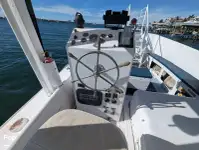 Navio de cruzeiro e ferry à venda