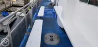 Catamarã à venda