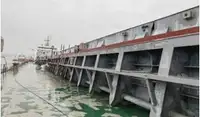Navio graneleiro à venda