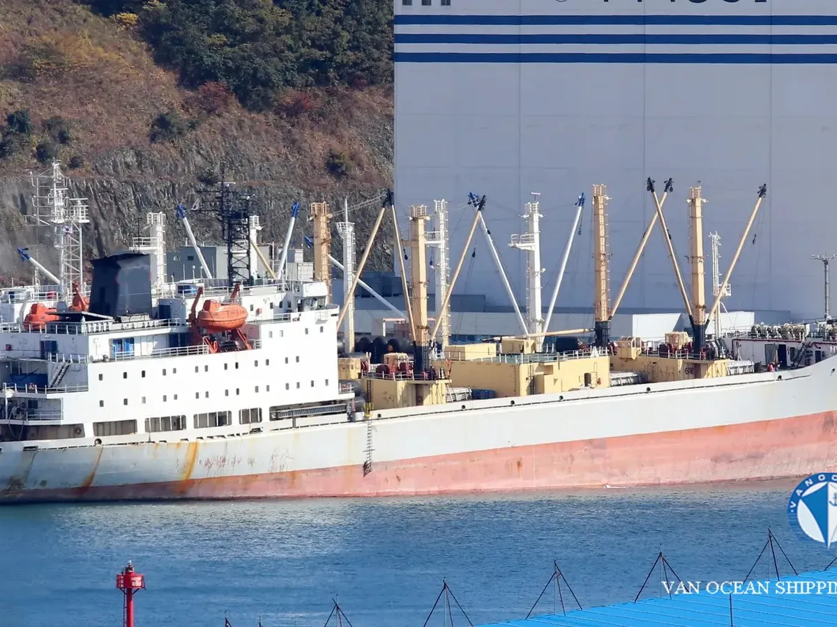 Navio frigorífico à venda