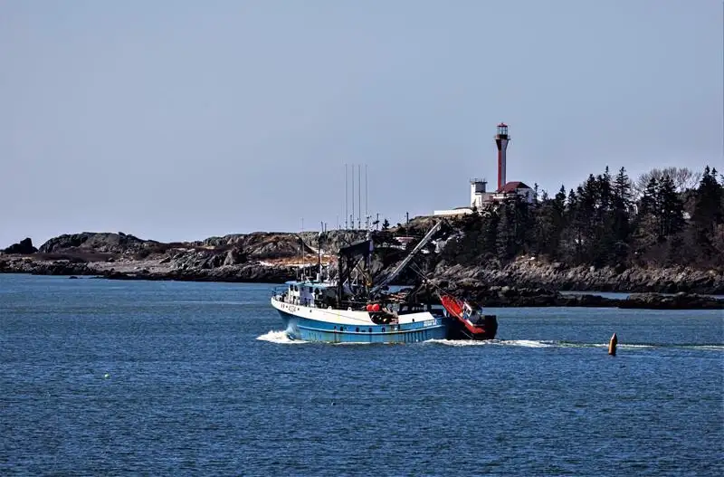 Navio de pesca de cerco à venda