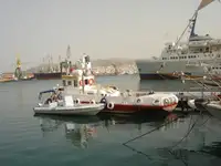 Barcos de trabalho à venda