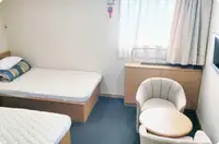 Navio frigorífico à venda