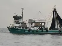 Navio de pesca de cerco à venda