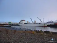 Navio frigorífico à venda