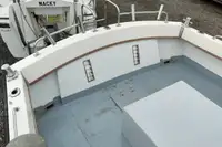 Barcos de trabalho à venda