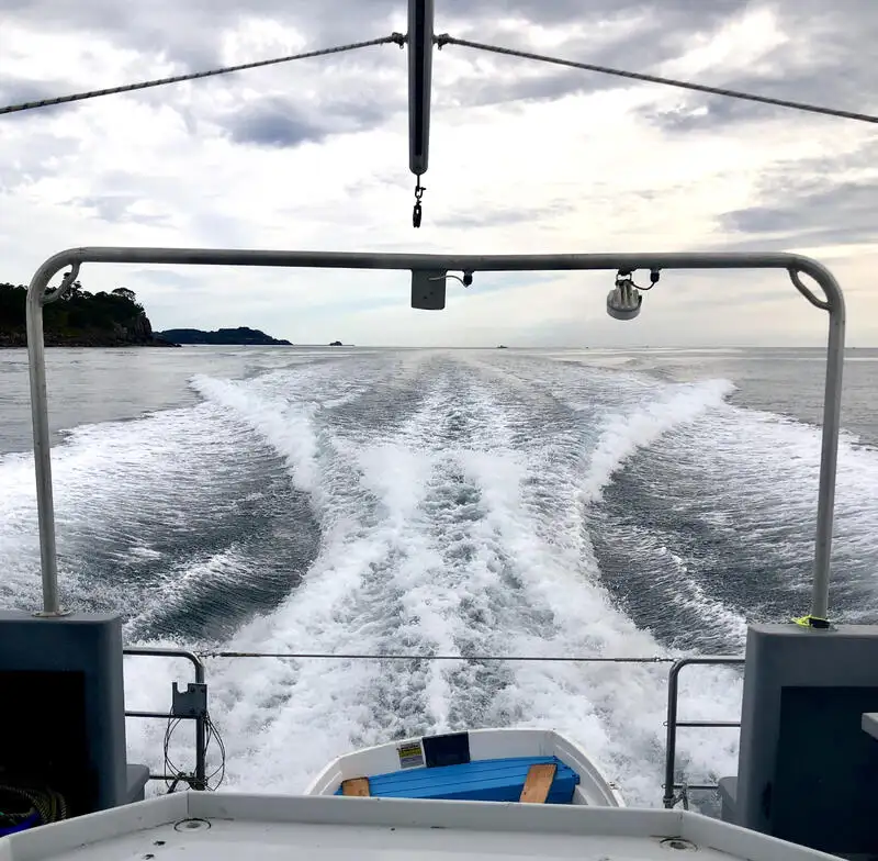 Navio de pesquisa à venda