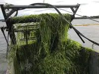 Navio-tanque de água de lastro à venda