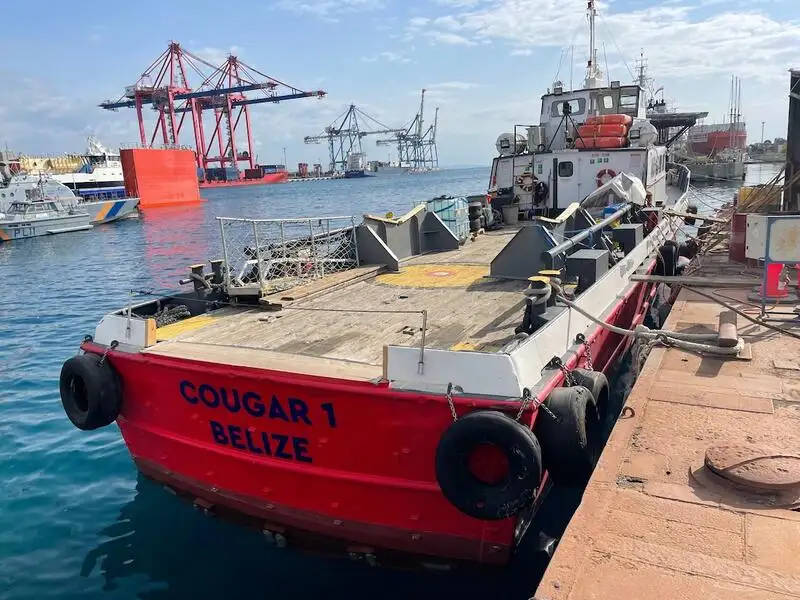 Navio porta-contêineres à venda