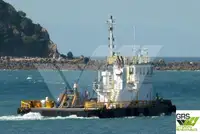 Barcos de trabalho à venda