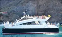 Catamarã à venda