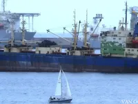 Navio frigorífico à venda