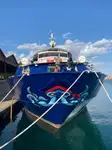 Navio de cruzeiro à venda