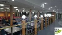 Navio Ro-Ro à venda