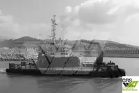 Barcos de trabalho à venda