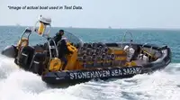 Bote inflável rígido à venda