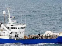 Navio de pesca de arrasto à venda
