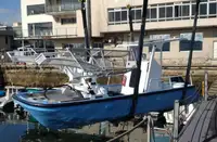 Navio-tanque de água de lastro à venda