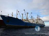 Navio frigorífico à venda