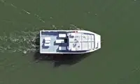 Catamarã à venda