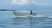 Barcos de trabalho à venda