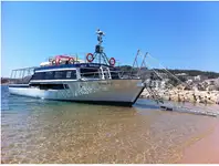 Navio balsa à venda
