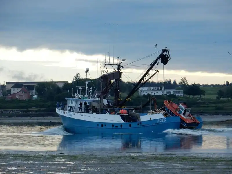 Navio de pesca de cerco à venda