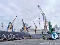 Navio frigorífico à venda