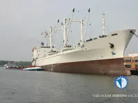 Navio frigorífico à venda