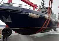 Barcos de trabalho à venda