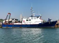 Barcos de trabalho à venda