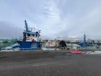 Barcos de trabalho à venda