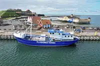 Trawler à venda