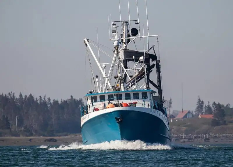 Navio de pesca de cerco à venda