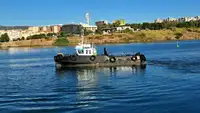 Barcos de trabalho à venda