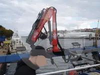 Navio transportador de peixes vivos à venda