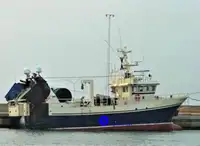 Embarcação para processamento e transporte de peixe à venda
