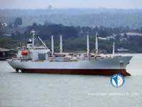 Navio frigorífico à venda