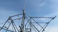 Navio de pesca de arrasto à venda