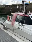 Barco piloto à venda