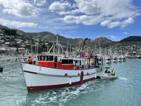 Navio de pesca de arrasto à venda