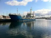 Barcos de trabalho à venda
