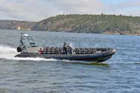Bote inflável rígido à venda
