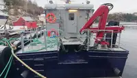Barcos de trabalho à venda