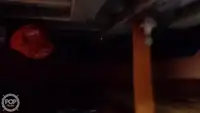 Navio de pesca de arrasto à venda