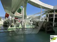 Navio Ro-Ro à venda