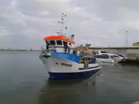 Rebocador à venda