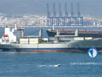 Navio frigorífico à venda