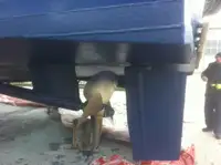 Barco de tripulação à venda