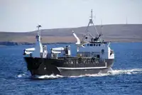Graneleiro à venda